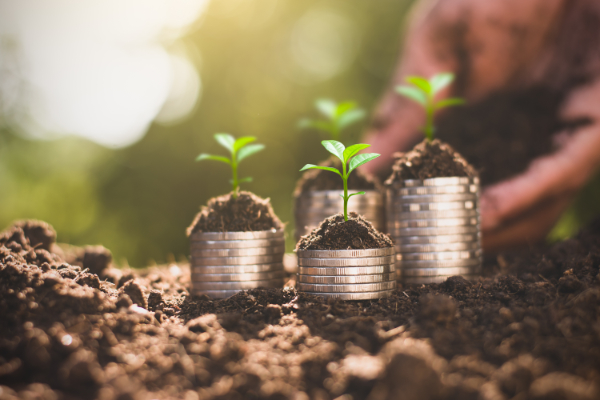 New EPC Band C Requirements for Landlords